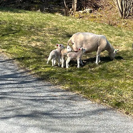 Rum i privatbostad Kjolevik Jørpeland