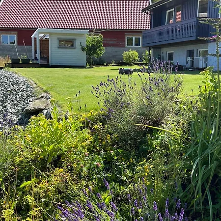 Kjolevik Homestay Jorpeland